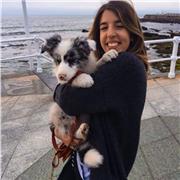 Doy clases particular de todas las asignaturas desde primaria hasta cuarto de la ESO